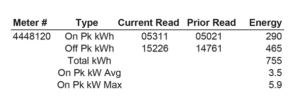 Image showing the table on a bill detailing meter information.