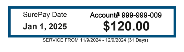 Image of section of bill that shows due date, account number and service period.