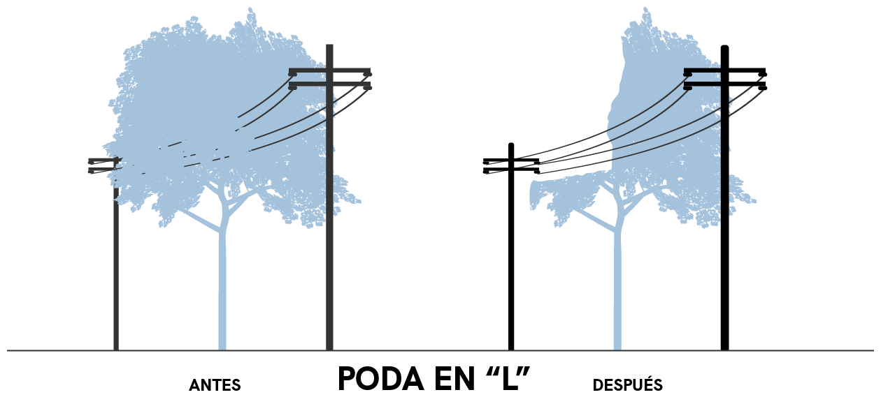 Poda de árboles y tendido eléctrico