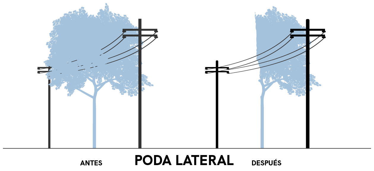 Poda de árboles y tendido eléctrico