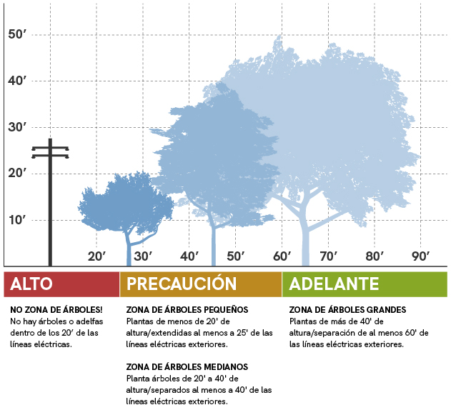 Poda de árboles y tendido eléctrico