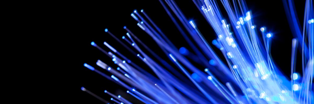 Dependable dark fiber to drive success