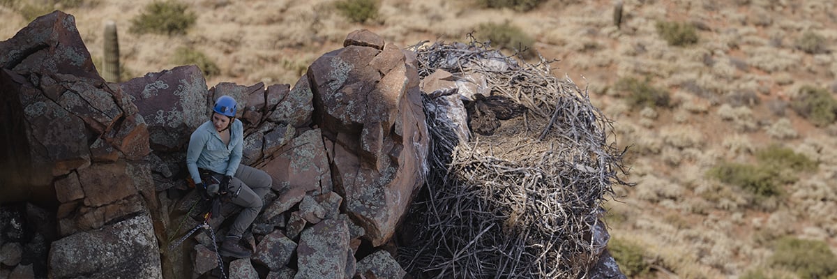 Protección de las poblaciones de aves de Arizona
