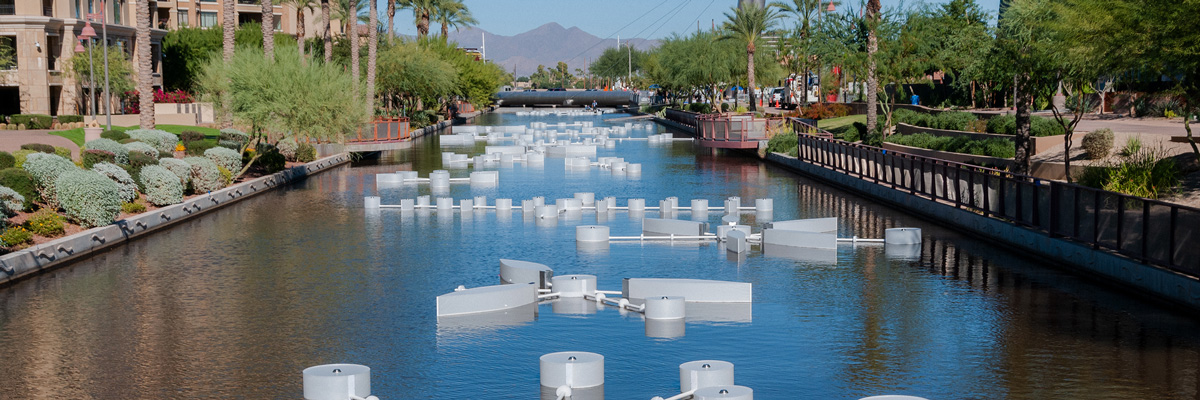Canal 3 Expo - Powered by 4.events