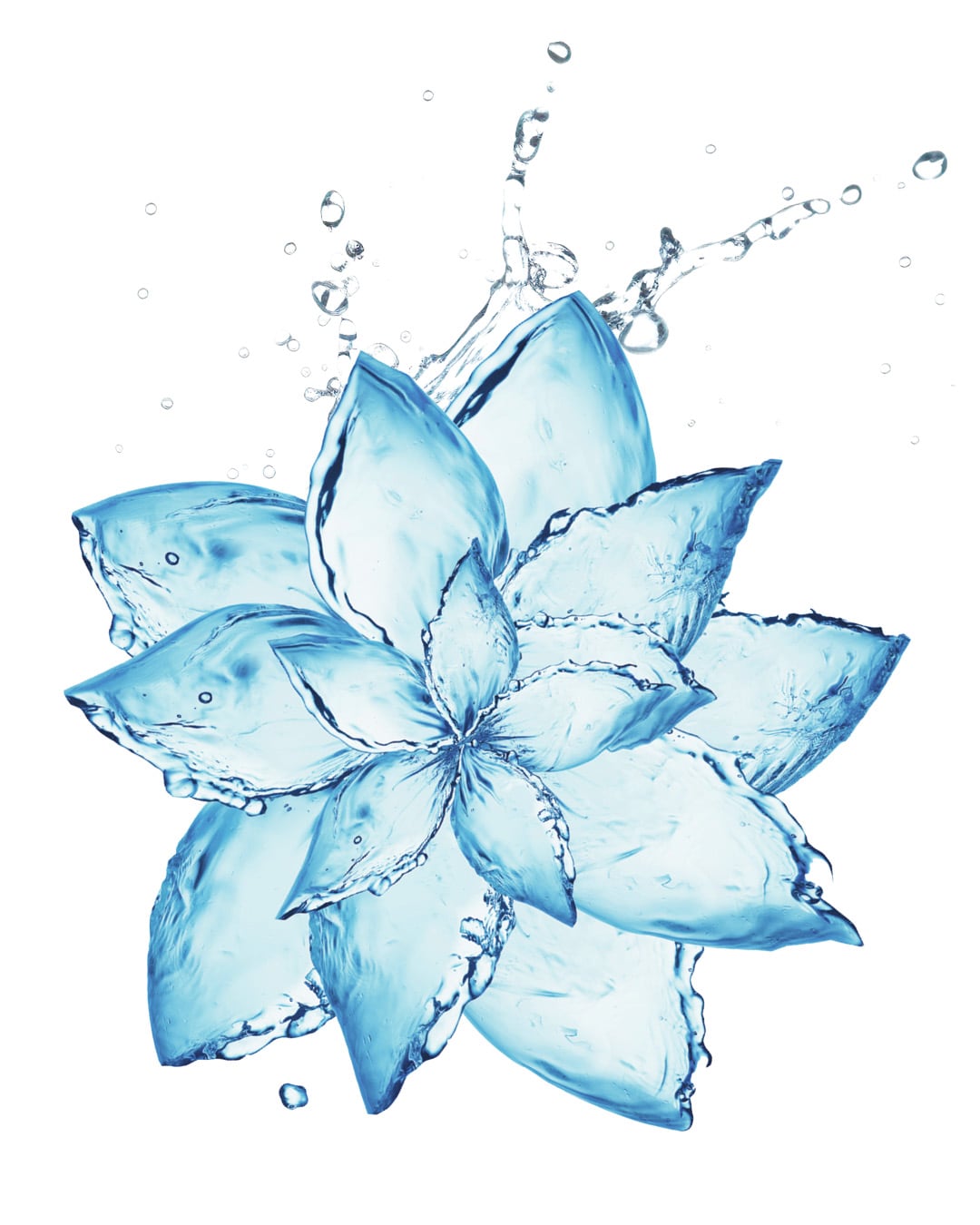 a succulent made of water