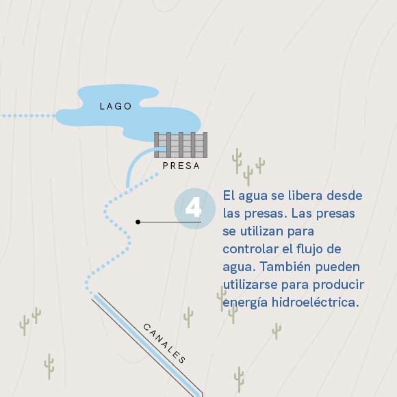 Liberados de las presas