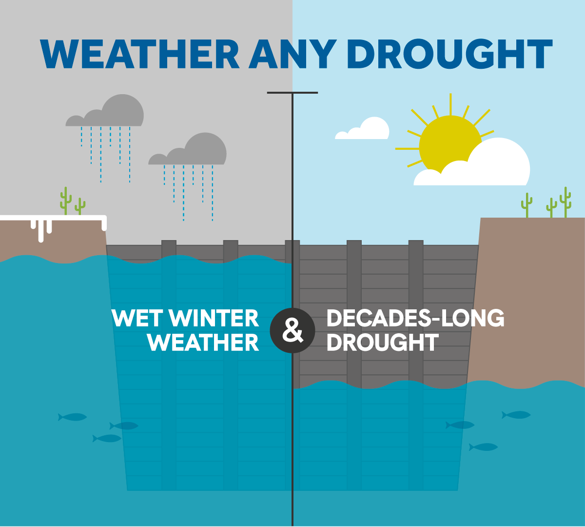 Weather Any Drought
